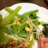 豆もやしと小松菜のナムル